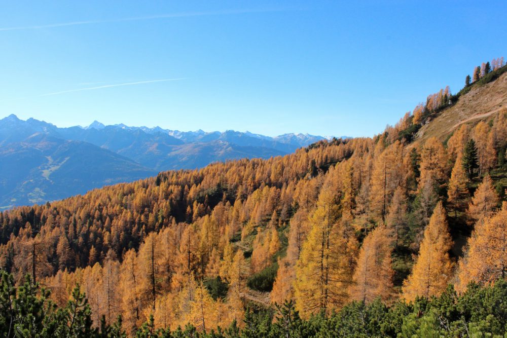 xhome-herbst2-1